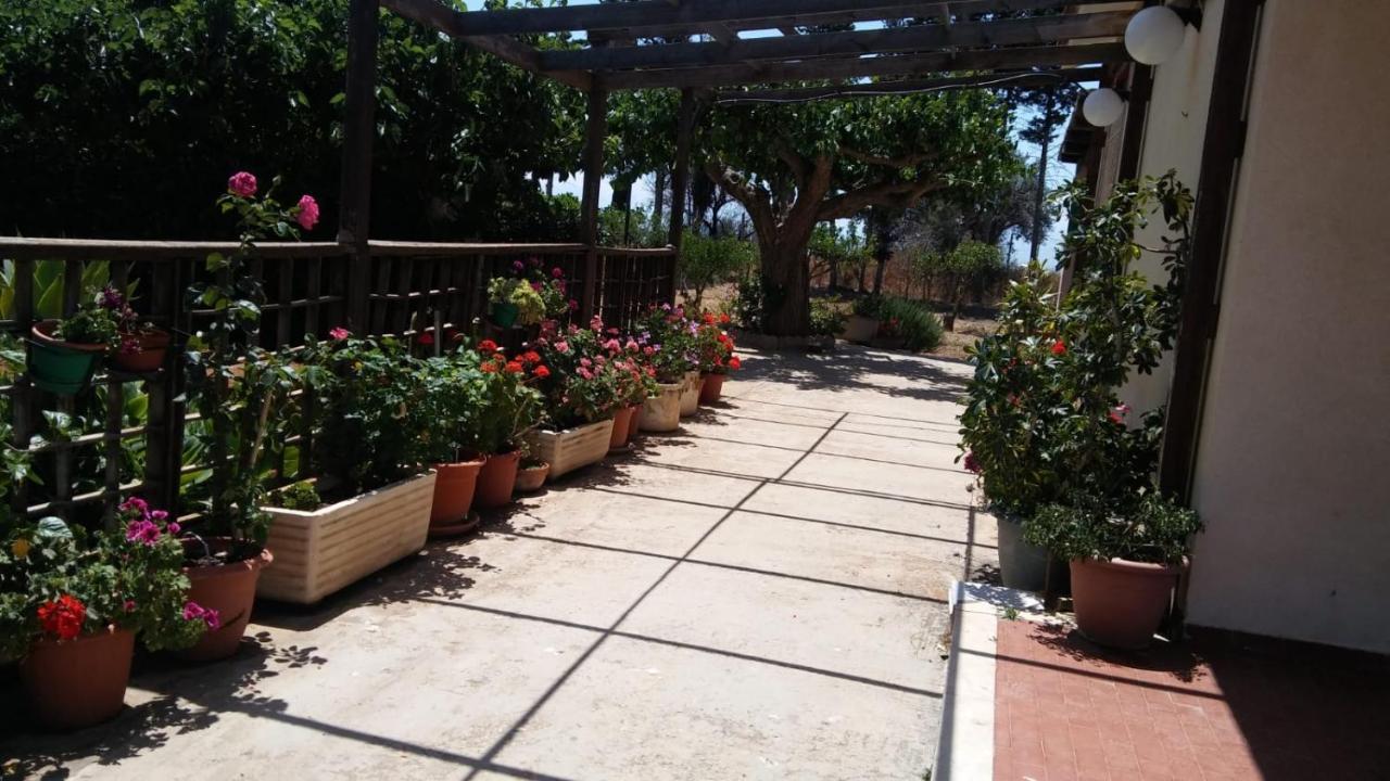 Il gazebo Bed and Breakfast Scoglitti Esterno foto