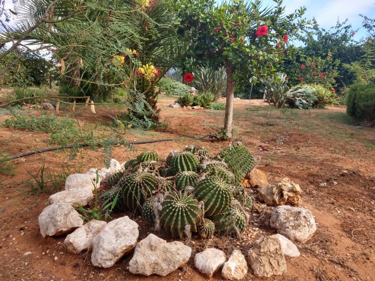 Il gazebo Bed and Breakfast Scoglitti Esterno foto